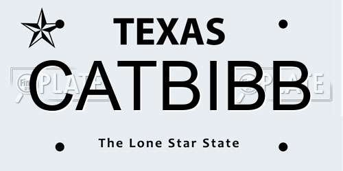 CATBIBB Texas License Plate