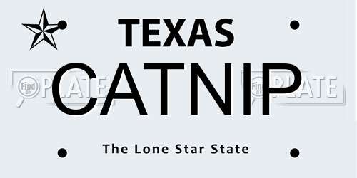 CATNIP Texas License Plate