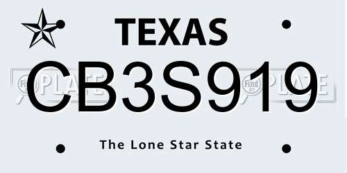 CB3S919 Texas License Plate