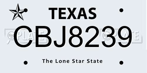 CBJ8239 Texas License Plate