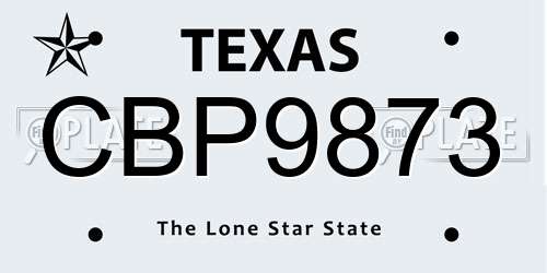 CBP9873 Texas License Plate