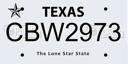 CBW2973 Texas License Plate
