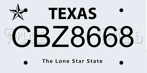 CBZ8668 Texas License Plate