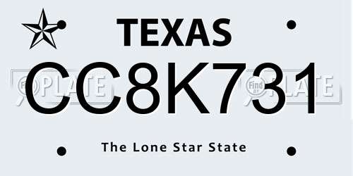 CC8K731 Texas License Plate