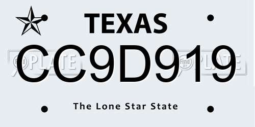 CC9D919 Texas License Plate