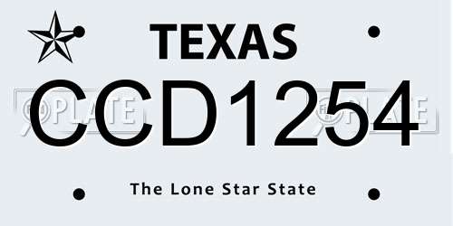 CCD1254 Texas License Plate