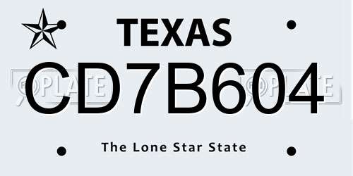 CD7B604 Texas License Plate