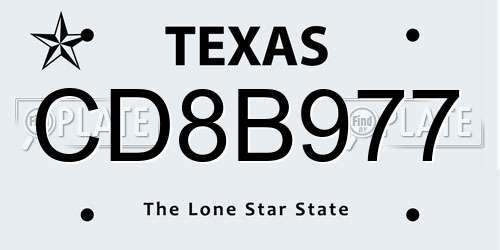 CD8B977 Texas License Plate