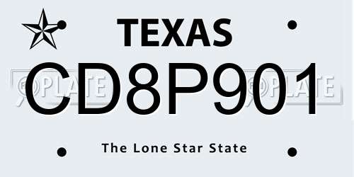 CD8P901 Texas License Plate