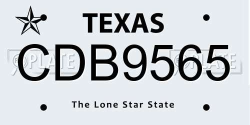 CDB9565 Texas License Plate