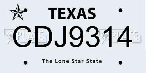 CDJ9314 Texas License Plate