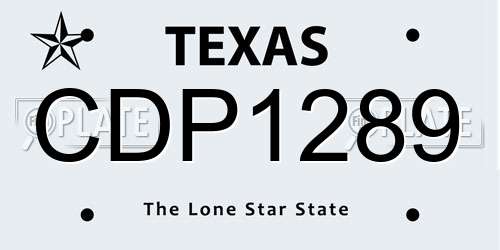 CDP1289 Texas License Plate