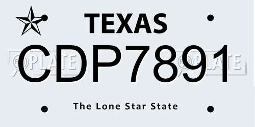 CDP7891 Texas License Plate