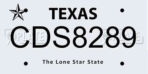 CDS8289 Texas License Plate