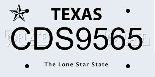 CDS9565 Texas License Plate