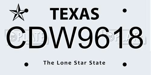 CDW9618 Texas License Plate