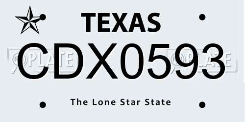 CDX0593 Texas License Plate