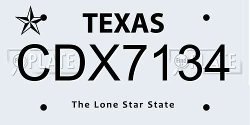CDX7134 Texas License Plate