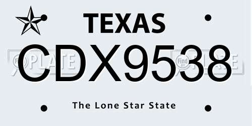 CDX9538 Texas License Plate