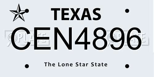 CEN4896 Texas License Plate