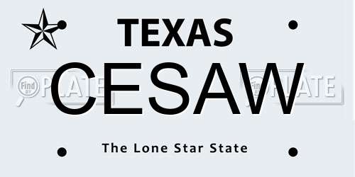 CESAW Texas License Plate