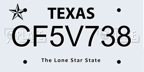 CF5V738 Texas License Plate