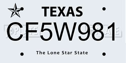 CF5W981 Texas License Plate