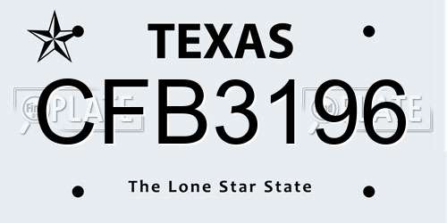 CFB3196 Texas License Plate