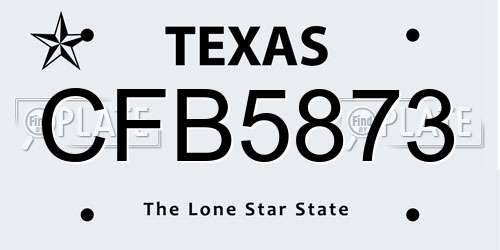 CFB5873 Texas License Plate