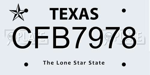 CFB7978 Texas License Plate