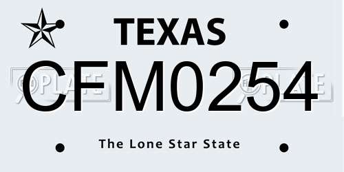 CFM0254 Texas License Plate
