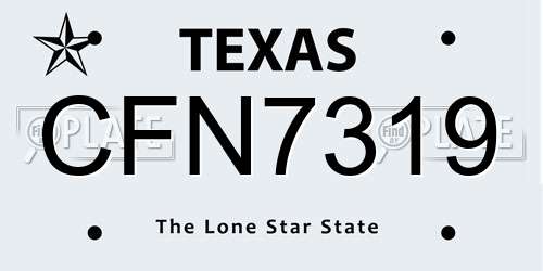 CFN7319 Texas License Plate