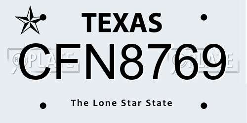 CFN8769 Texas License Plate