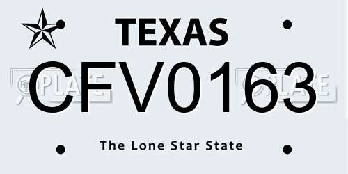 CFV0163 Texas License Plate
