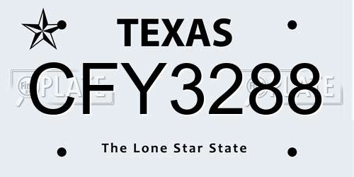 CFY3288 Texas License Plate
