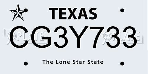 CG3Y733 Texas License Plate