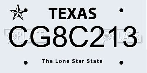 CG8C213 Texas License Plate
