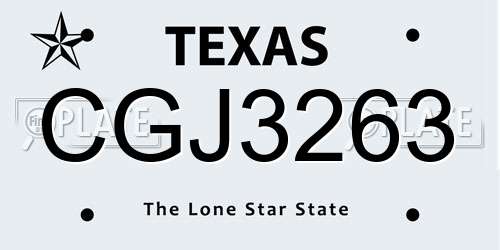 CGJ3263 Texas License Plate
