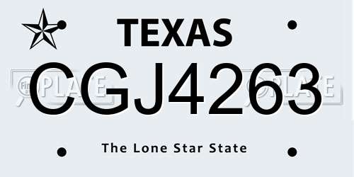 CGJ4263 Texas License Plate