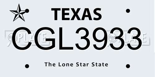 CGL3933 Texas License Plate