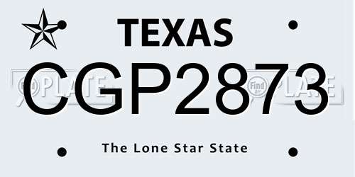 CGP2873 Texas License Plate
