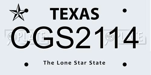 CGS2114 Texas License Plate