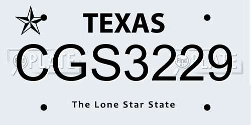 CGS3229 Texas License Plate