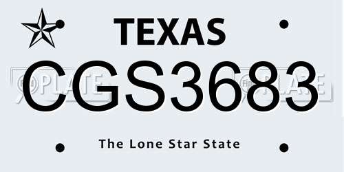 CGS3683 Texas License Plate