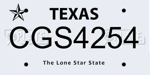 CGS4254 Texas License Plate