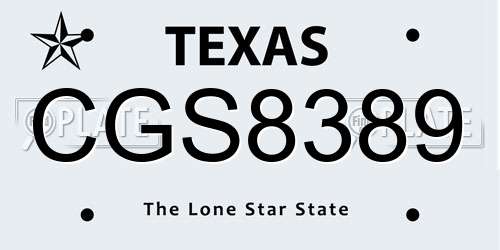 CGS8389 Texas License Plate