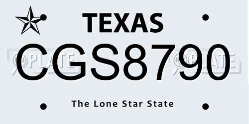 CGS8790 Texas License Plate