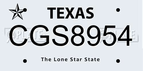 CGS8954 Texas License Plate