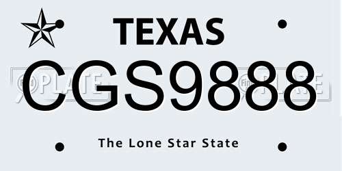 CGS9888 Texas License Plate