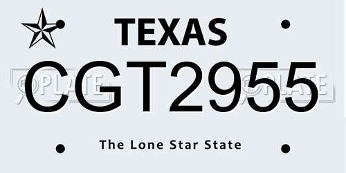 CGT2955 Texas License Plate